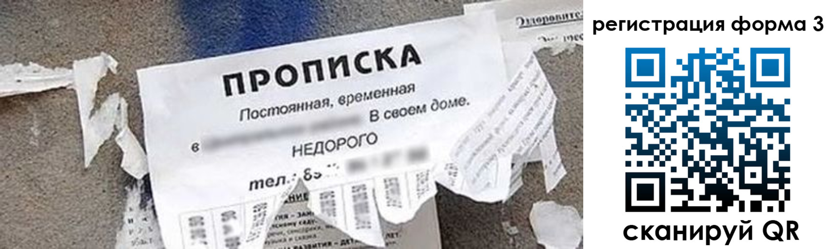 прописка 2025 в Бабаево